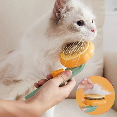 Pet Care & Grooming