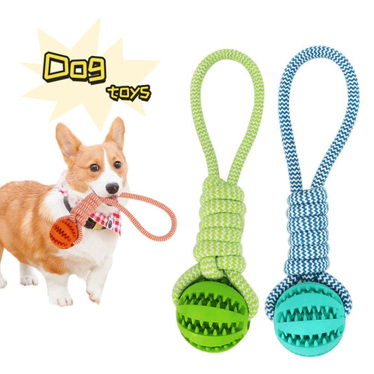 Dog with interactive treat rope rubber balls for chewing and tooth cleaning.
