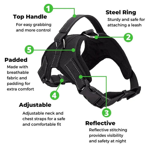 Adjustable Dog Harness