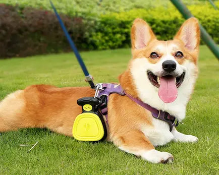 Pet Foldable Pooper Scooper
