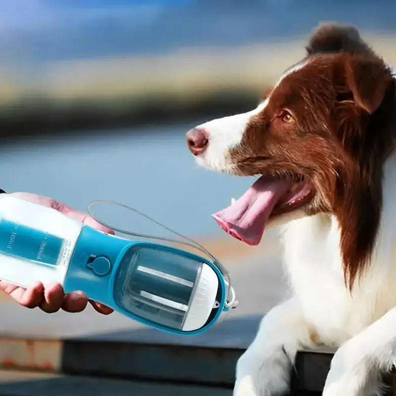 Portable 3-in-1 dog cup for pets with water, food, and waste compartments, perfect for travel and outdoor activities.