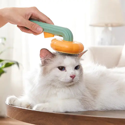 Pumpkin Pet Brush
