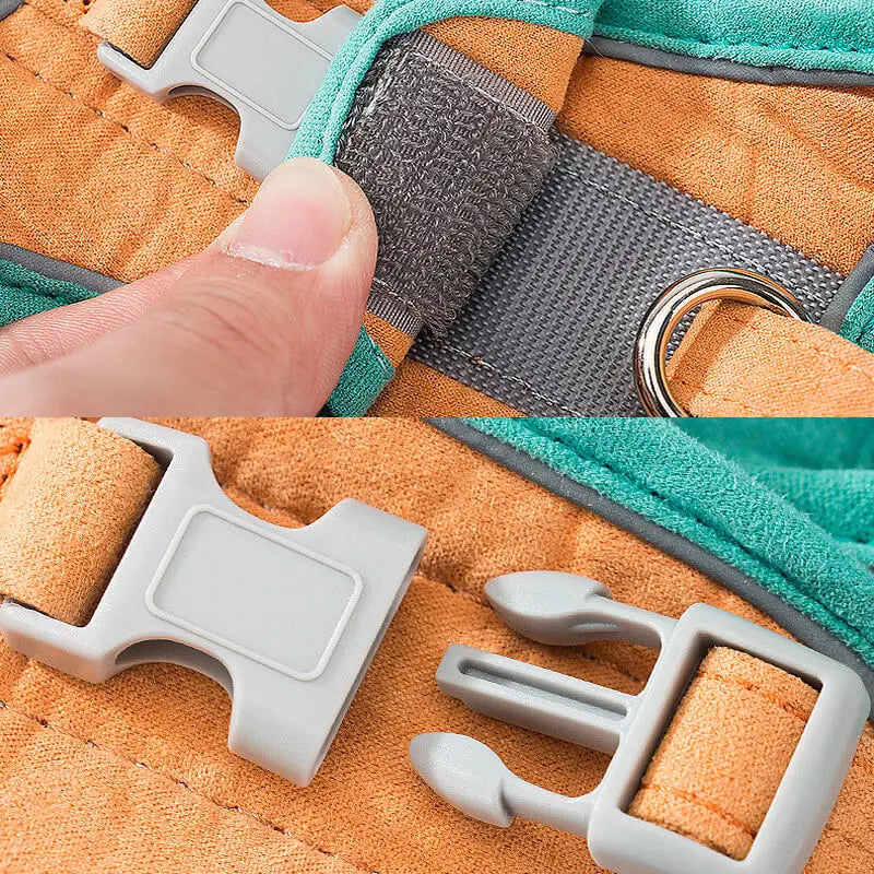 Adjustable Cat Harness Set
