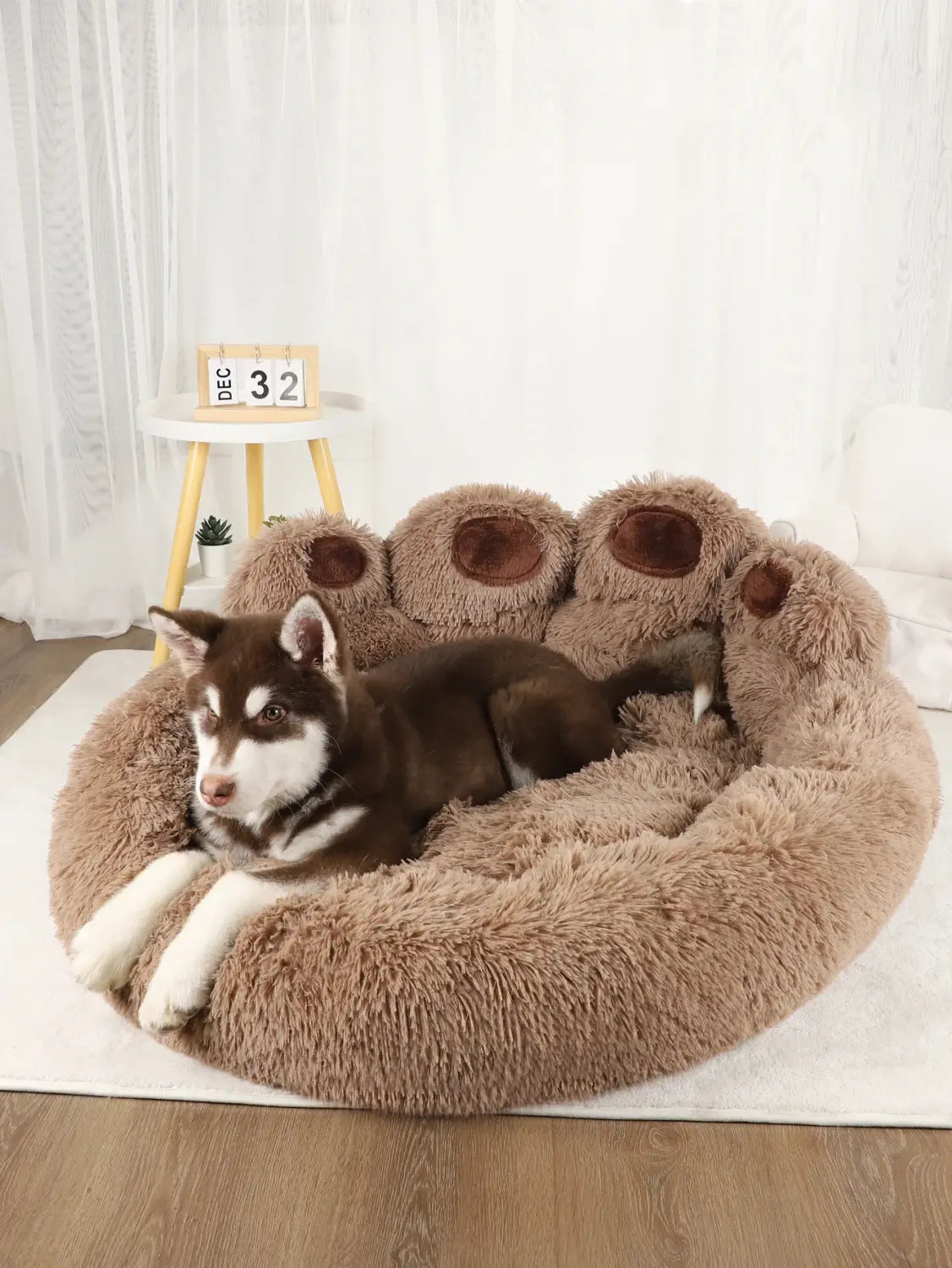 Pet Dog Sofa Beds for Small Dogs Warm
