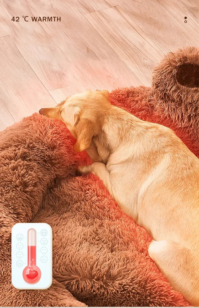Pet Dog Sofa Beds for Small Dogs Warm