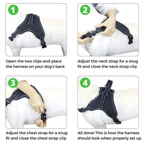Adjustable Dog Harness