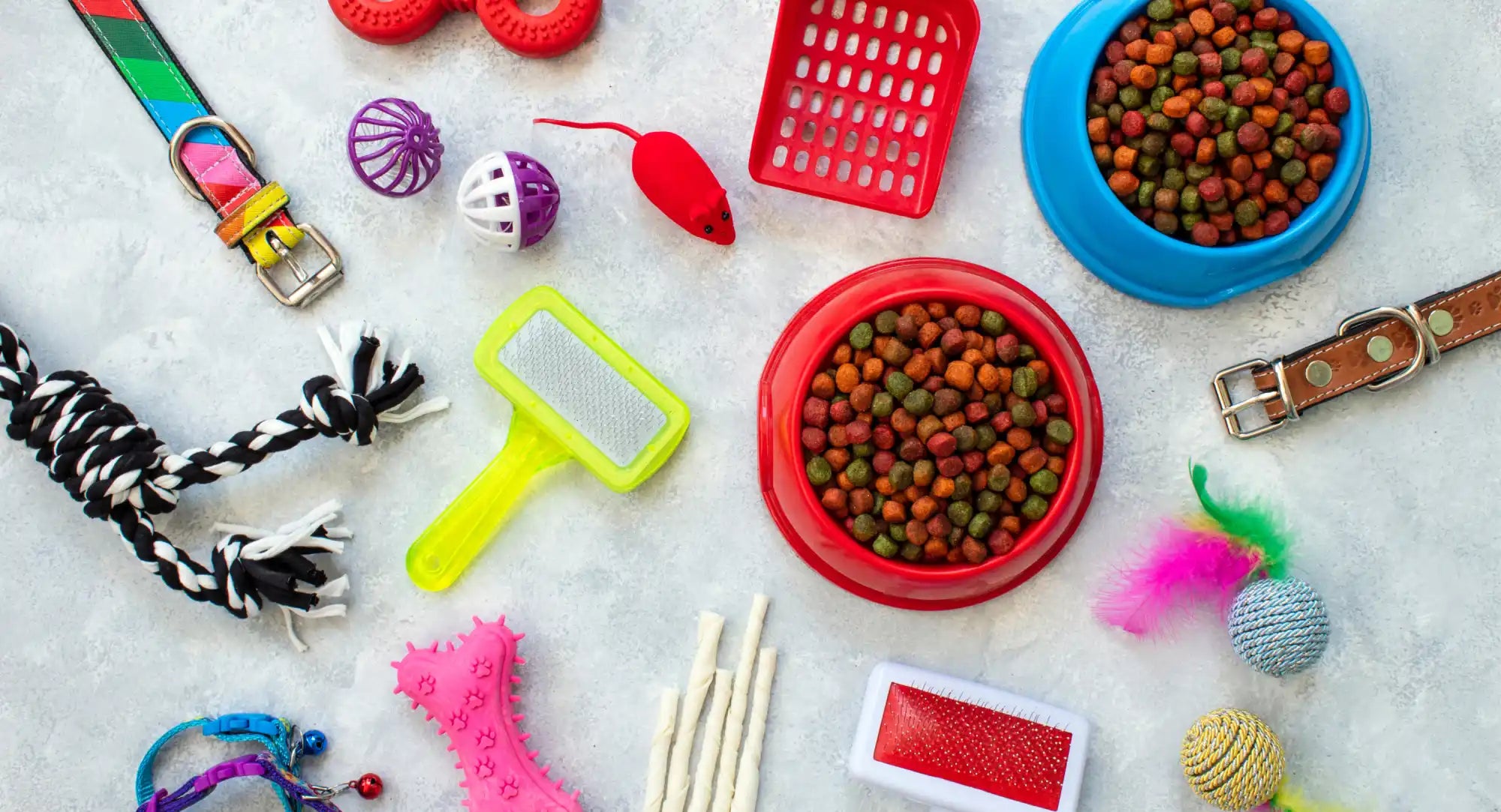 Assorted pet supplies.