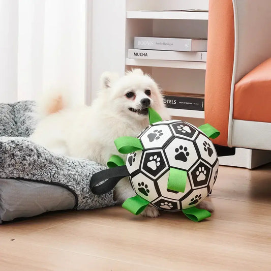Dog Soccer Ball - 15cm