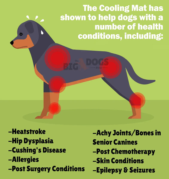 Pet Cooling Mat