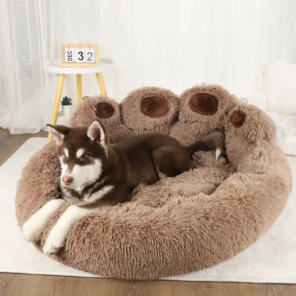 Cozy brown sofa bed for dogs with plush design and small pup lounging indoors.