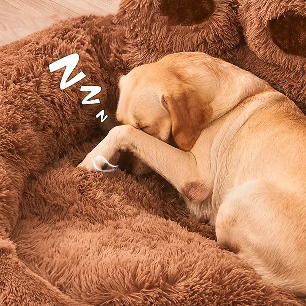 Cozy brown sofa bed for dogs with a sleeping dog, perfect for small pets.