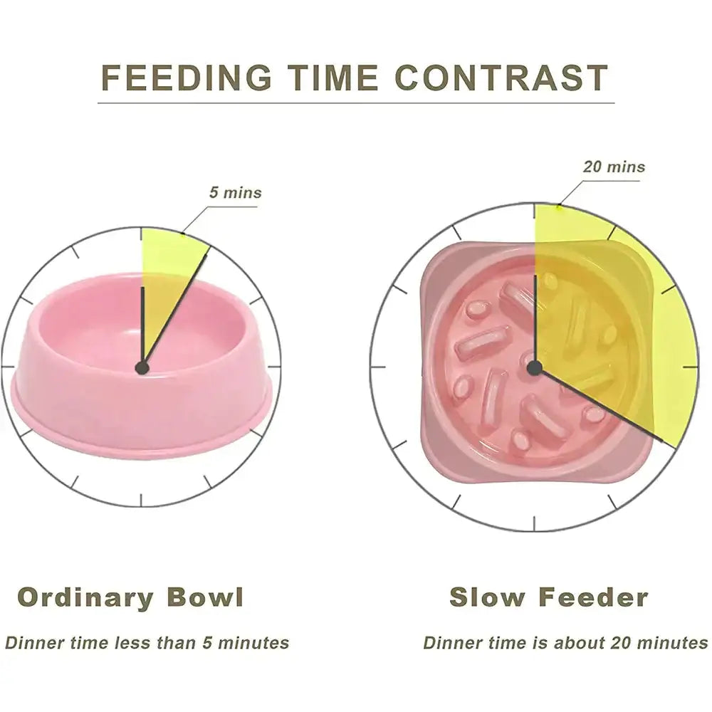 Slow Feeder Pet Bowl
