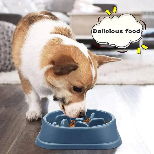 Slow Feeder Pet Bowl