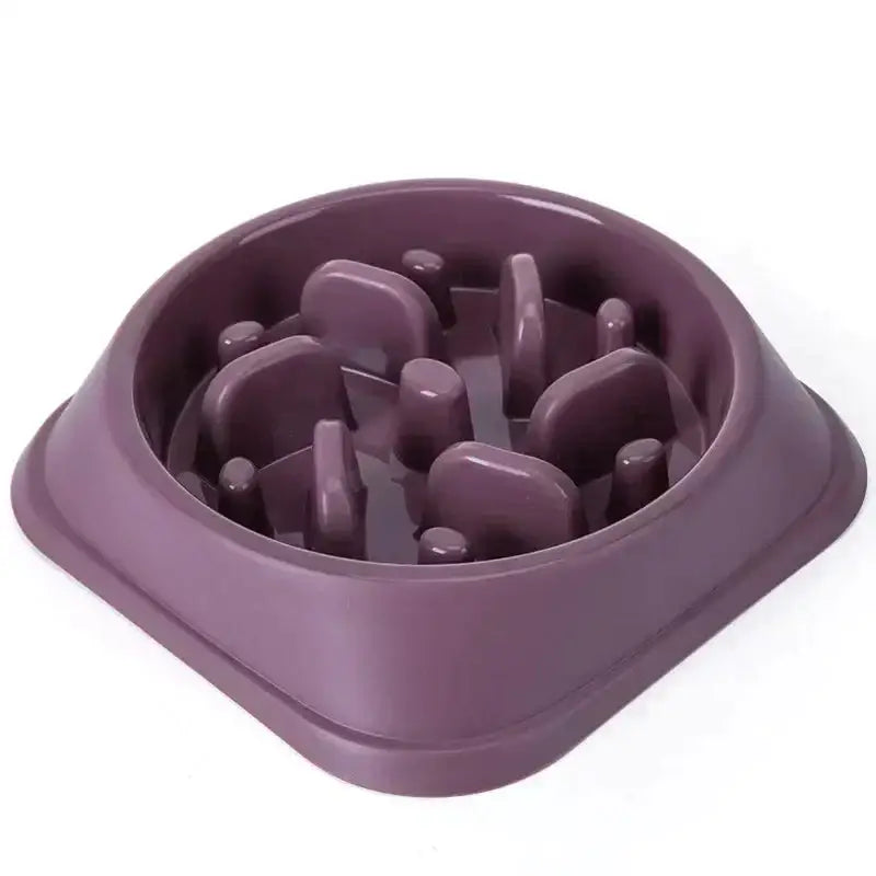 Slow Feeder Pet Bowl