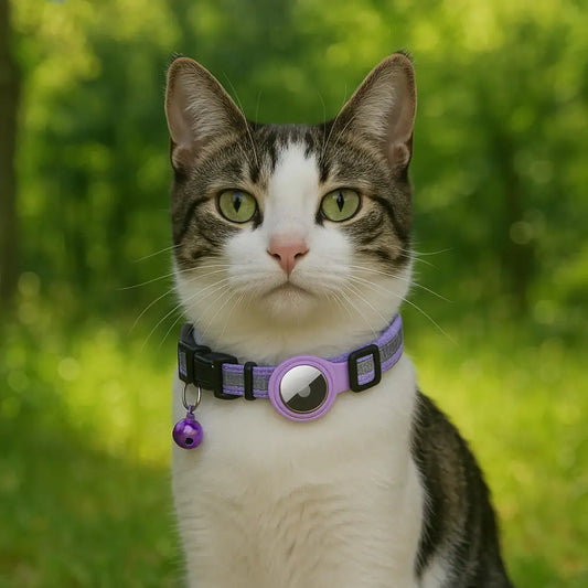 Reflective Airtag collar with waterproof holder on a cat in a natural setting.